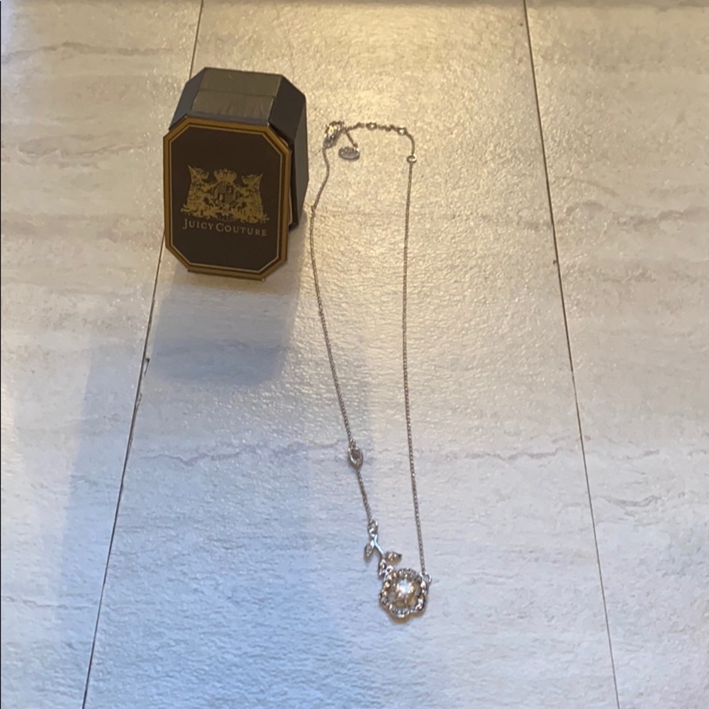 Brand new juicy necklace